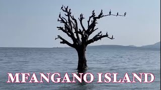 MFANGANO ISLAND BEYOND BELIEF [upl. by Rebhun862]