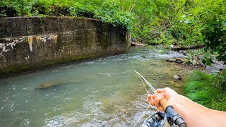 The Best Way To Catch Big Wild Brown Trout Fly Fishing [upl. by Braca]