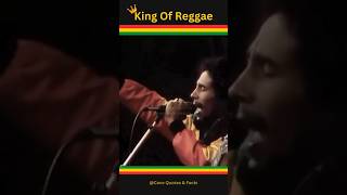 History BOB MARLEY And The WAILERS 👑  Biography  JAMAICAN FACTS  🎤🎶🎤 🛈 🇯🇲🇯🇲 reggae bobmarley [upl. by Fernanda]