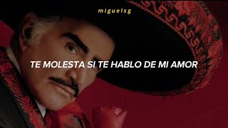 Vicente Fernández  Un Millón De Primaveras LetraLyrics [upl. by Raama]