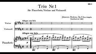 Johannes Brahms  Piano Trio No 1 in B Major Op 8 [upl. by Ylrebmit32]