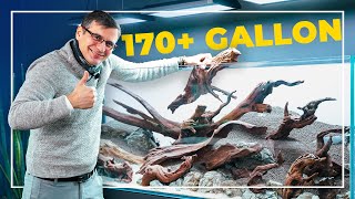 Creating a Huge Planted Aquarium with Driftwood  Part One  Hardscape [upl. by Clementina]