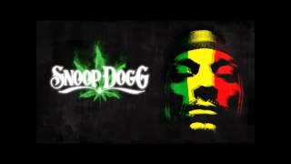 Smoke weed everyday Snoop Dogg HDmp4 [upl. by Aleka474]