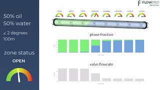 Insight Multiphase Near Wellbore Simulator  AICV [upl. by Ostap]