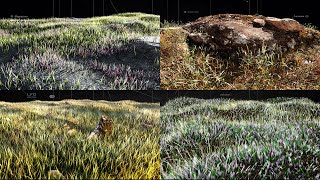 C4D  Redshift  Taiao Grass [upl. by Luhar816]