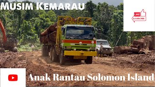 Aktiviti Logging Musim Kemarau di Kepulauan Solomon IslandKayu Bertimbun di Landing Area [upl. by Dunton]