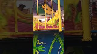 Kids ride Vismaya amusement park  part 4  shorts kidsvideo [upl. by Rus]