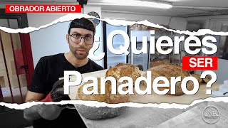 Guia para ser panadero  PANHABLA LAB  T2 CAP75 [upl. by Galen]