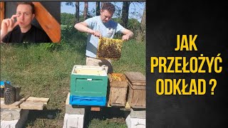 Jak przełożyć odkład do nowego ula [upl. by Krute954]