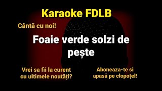 Foaie verde solzi de peste  Gabi Lunca Karaoke Versuri [upl. by Fraser]