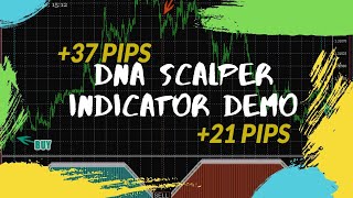 DNA Scalper Indicator Demo  Best MT4 Scalping Indicator [upl. by Hills]