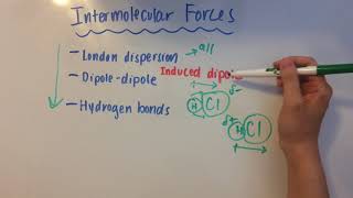 Intermolecular Forces [upl. by Alonso668]