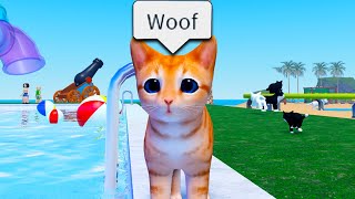 The Roblox Kitten Experience [upl. by Anilah323]