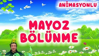 MAYOZ BÖLÜNME 7 SINIF FEN BİLİMLERİ [upl. by Cumings]