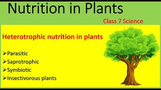 Nutrition in plants  Mode of nutrition  Heterotrophic Nutrition  Class 7 Science  2020 [upl. by Catharine251]