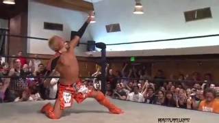 Akira Tozawa VS Ricochet Highlights  PWG Threemendous IV [upl. by Cele843]