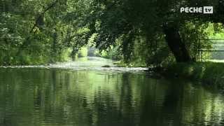 Globe fishing Reportage Pêche à la mouche dans le PasdeCalais [upl. by Elianore661]