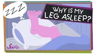 Why Is My Leg Asleep [upl. by Dabbs49]