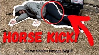 Horse Shelter Heroes  S2E8  Full Episode [upl. by Enirhtak]