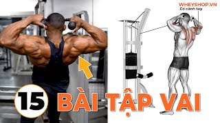 30 Bài Tập Vai Siêu To Khổng Lồ Cho Dân Tập Gym Phần 1 I WHEYSHOPVN [upl. by Heiskell]