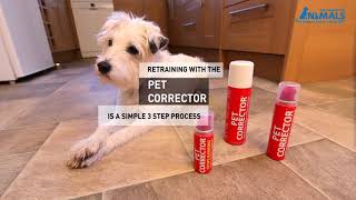 Pet Corrector  Improving Dog Manners [upl. by Infield955]