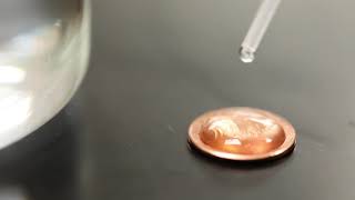 Adhesion and Cohesion Demo The Penny Game [upl. by Erodroeht]