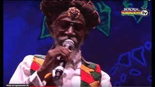 BUNNY WAILER amp The Solomonic Orchestra live  Main Stage 2015 [upl. by Hsotnas]