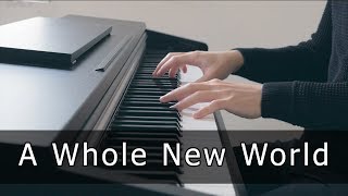 Aladdin  A Whole New World Piano Cover by Riyandi Kusuma [upl. by Jaf]