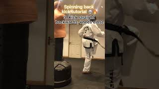 SPINNING BACK KICK TUTORIAL [upl. by Enialedam440]