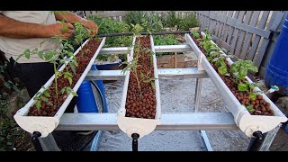 DIY automated hydroponic system at home [upl. by Eciruam648]