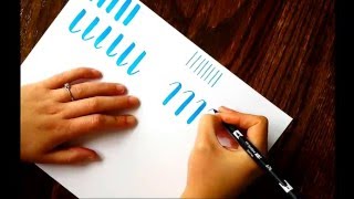 The Beginners Guide to Brush Lettering Basic Strokes [upl. by Latona986]