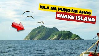 ISLA NA PUNO NG AHAS  The Snake Island Il Queimada Grande island in Brazil kaalaman facts snakes [upl. by Pellet]