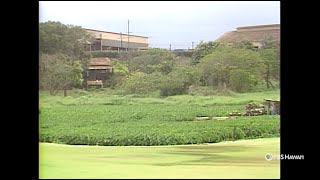 Waipahu Cultural Park 1987  PBS HAWAIʻI CLASSICS [upl. by Adim]