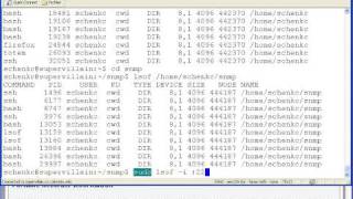 Linux command line  lsof [upl. by Farica721]