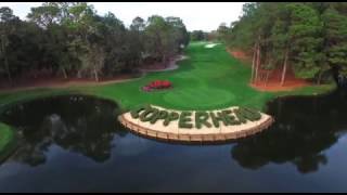 Innisbrook Golf Course Overview [upl. by Hnacogn]