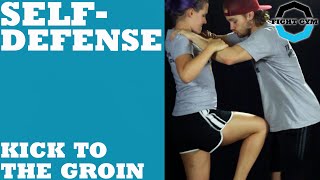 Self Defense Kick to the Groin [upl. by Nangem]