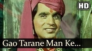 Gao Tarane Man Ke Ji  Lata Rafi  AAN  Dilip KumarNimmiPremnathNadira [upl. by Eimarej]