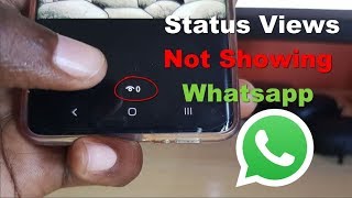 Status Views Not Showing Whatsapp Fix [upl. by Territus]