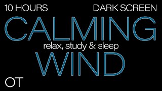 CALMING WIND Sounds for Sleeping Relaxing Studying BLACK SCREEN Real Storm Sounds SLEEP SOUNDS [upl. by Erdnoed]