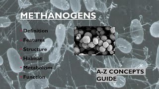 Methanogens  microbes man and environment  AZ Concepts guide [upl. by Seroled]