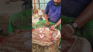 NAKKU meen cutting video kasimedu Mr Selvam shorts [upl. by Poler]