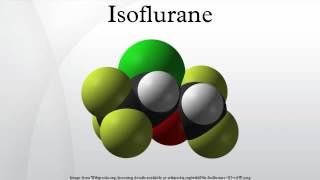 Isoflurane [upl. by Asined846]