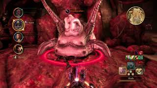 Dragon Age Origins  Broodmother Boss Fight Nightmare [upl. by Lemert]