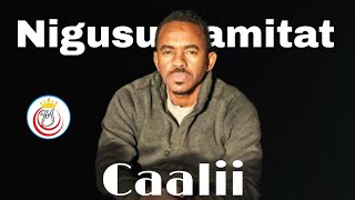 Nugusu Tamirat  Caalii  new Ethiopian oromo music 2023 by lyrics [upl. by Ware]