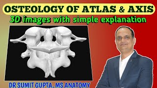 ATLAS amp AXIS VERTEBRAE  Osteology  atypical cervical vertebrae [upl. by Artaed193]