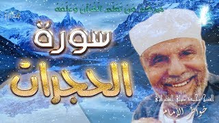 تفسير سورة الحجرات  تفسيرالسورةالكاملةالشعراوي رياضالجنة [upl. by Rowen]