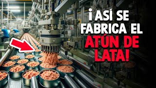 ¿Cómo Se Hace El Atún En Lata Proceso En Fábrica [upl. by Fe877]