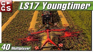 LS17 YOUNGTIMER 🚜 Stroh schwaden 40 Hermanns Eck Talk [upl. by Namsu963]