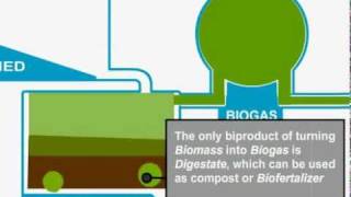 Biomass Gasification [upl. by Lucian]