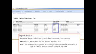 Introduction to the Federal Financial Report FFR for Grantees [upl. by Persis344]